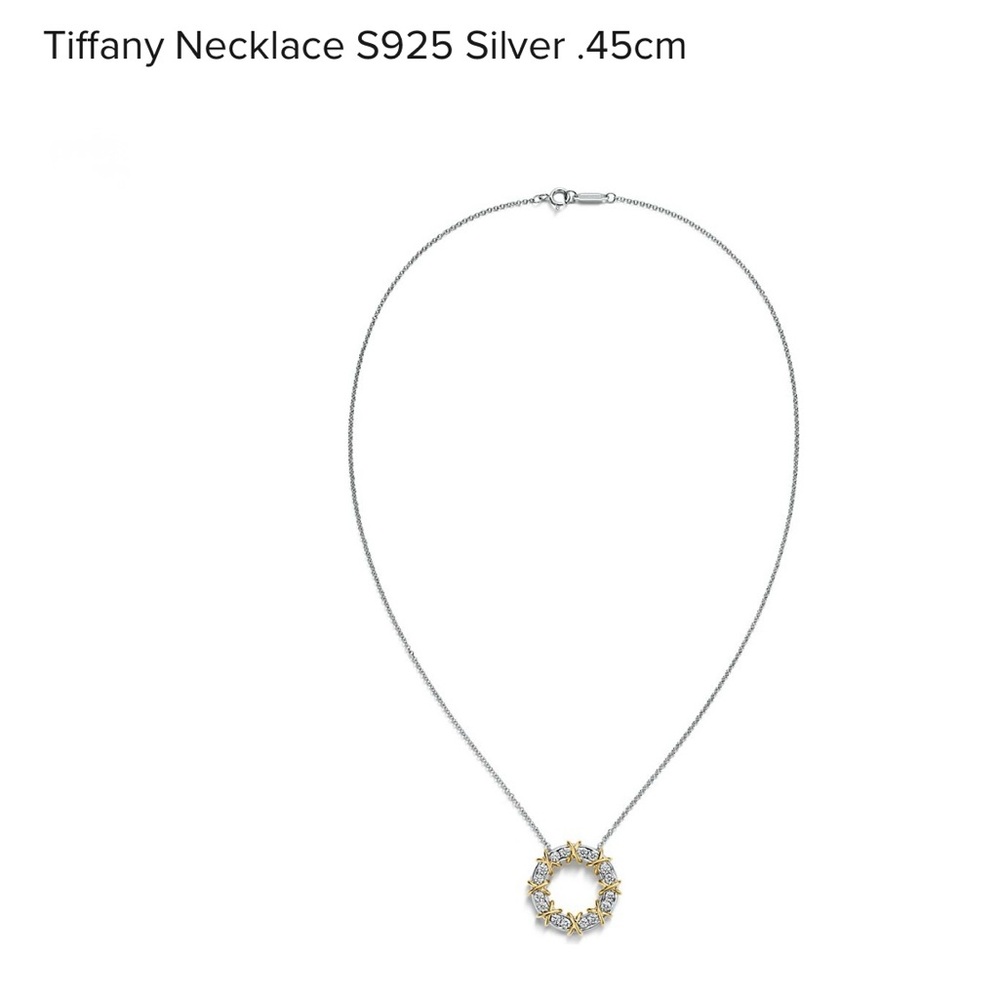 Tiffany & Co. Silver Necklace with Gold Details
